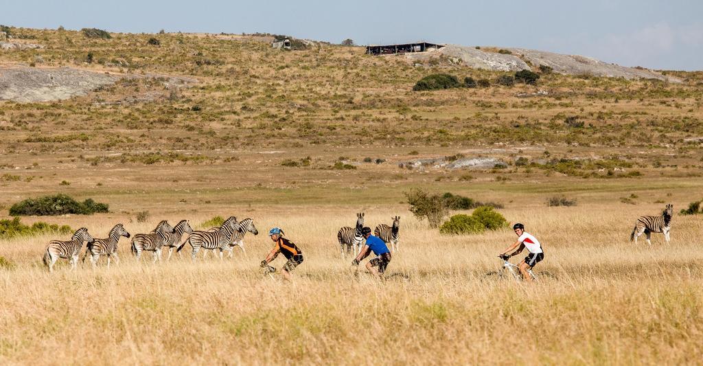 !Khwa Ttu Bed & Breakfast Swartwater Екстериор снимка